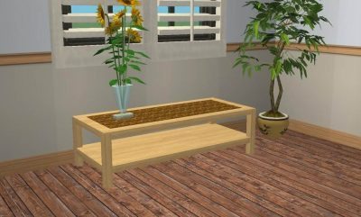 2-Layer Coffee Table